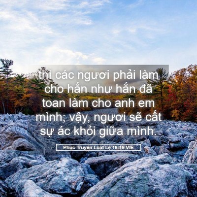 Picture 05 - Phục Truyền Luật Lệ 19:19 VIE - thì các ngươi phải làm cho hắn như - Bible Verse Picture