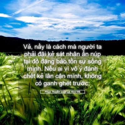 Picture 05 - Phục Truyền Luật Lệ 19:4 VIE - Vả, nầy là cách mà người ta phải - Bible Verse Picture