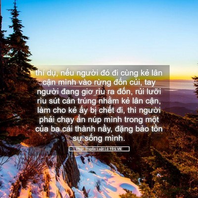 Picture 05 - Phục Truyền Luật Lệ 19:5 VIE - thí dụ, nếu người đó đi cùng kẻ - Bible Verse Picture