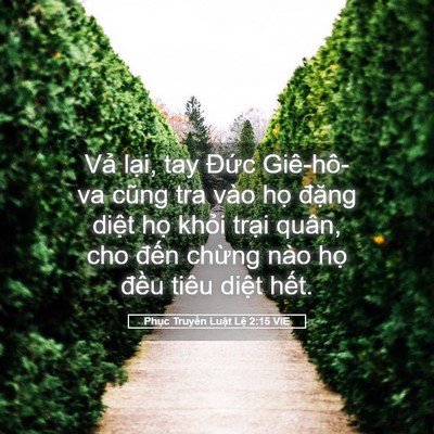 Picture 05 - Phục Truyền Luật Lệ 2:15 VIE - Vả lại, tay Đức Giê-hô-va cũng tra vào - Bible Verse Picture
