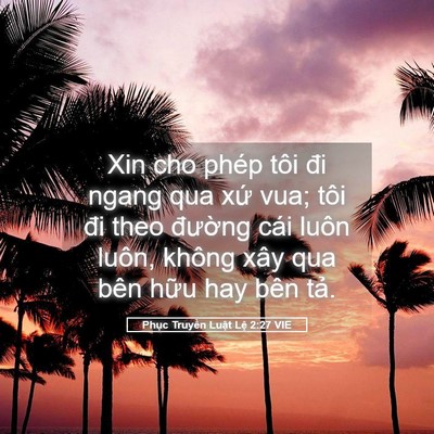 Picture 05 - Phục Truyền Luật Lệ 2:27 VIE - Xin cho phép tôi đi ngang qua xứ vua; tôi - Bible Verse Picture