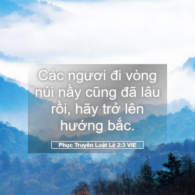 Picture 05 - Phục Truyền Luật Lệ 2:3 VIE - Các ngươi đi vòng núi nầy cũng đã lâu - Bible Verse Picture