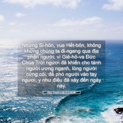 Picture 05 - Phục Truyền Luật Lệ 2:30 VIE - Nhưng Si-hôn, vua Hết-bôn, không khứng - Bible Verse Picture