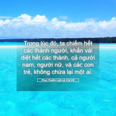 Picture 05 - Phục Truyền Luật Lệ 2:34 VIE - Trong lúc đó, ta chiếm hết các thành - Bible Verse Picture