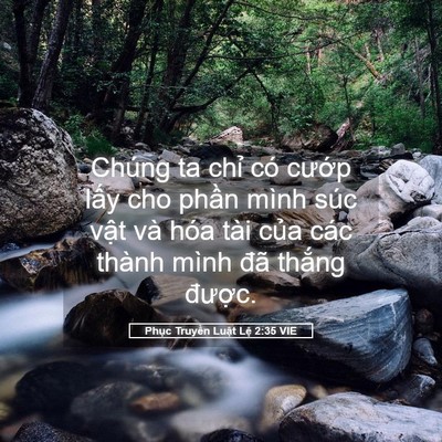 Picture 05 - Phục Truyền Luật Lệ 2:35 VIE - Chúng ta chỉ có cướp lấy cho phần - Bible Verse Picture