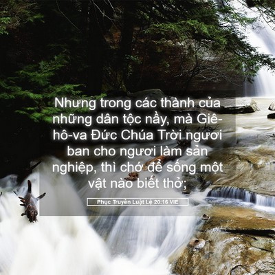 Picture 05 - Phục Truyền Luật Lệ 20:16 VIE - Nhưng trong các thành của những dân tộc - Bible Verse Picture