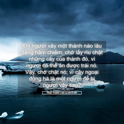 Picture 05 - Phục Truyền Luật Lệ 20:19 VIE - Khi ngươi vây một thành nào lâu đặng - Bible Verse Picture