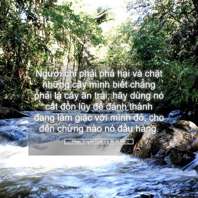 Picture 05 - Phục Truyền Luật Lệ 20:20 VIE - Ngươi chỉ phải phá hại và chặt - Bible Verse Picture