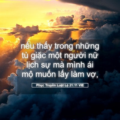 Picture 05 - Phục Truyền Luật Lệ 21:11 VIE - nếu thấy trong những tù giặc một - Bible Verse Picture