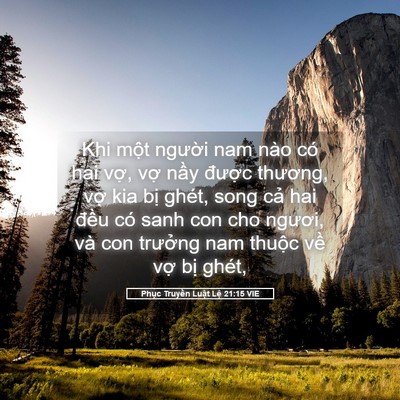 Picture 05 - Phục Truyền Luật Lệ 21:15 VIE - Khi một người nam nào có hai vợ, vợ - Bible Verse Picture