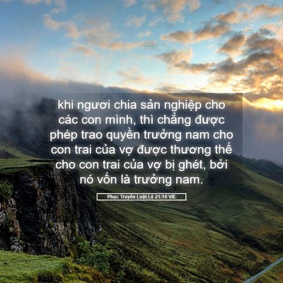Picture 05 - Phục Truyền Luật Lệ 21:16 VIE - khi ngươi chia sản nghiệp cho các con - Bible Verse Picture