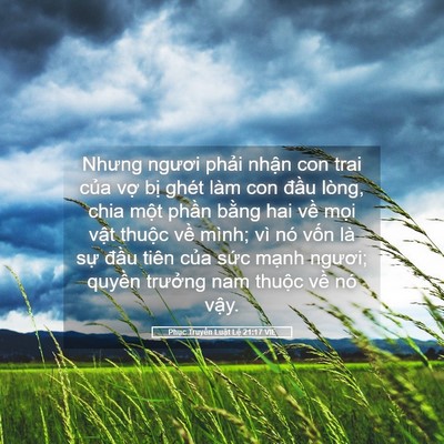 Picture 05 - Phục Truyền Luật Lệ 21:17 VIE - Nhưng ngươi phải nhận con trai của vợ - Bible Verse Picture