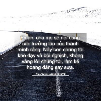 Picture 05 - Phục Truyền Luật Lệ 21:20 VIE - Đoạn, cha mẹ sẽ nói cùng các trưởng - Bible Verse Picture