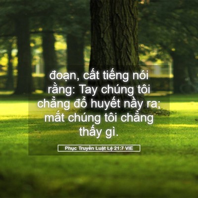 Picture 05 - Phục Truyền Luật Lệ 21:7 VIE - đoạn, cất tiếng nói rằng: Tay chúng - Bible Verse Picture
