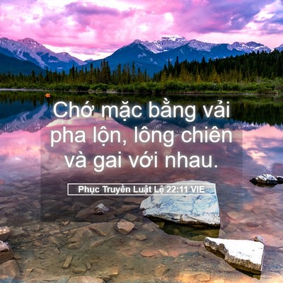 Picture 05 - Phục Truyền Luật Lệ 22:11 VIE - Chớ mặc bằng vải pha lộn, lông chiên - Bible Verse Picture