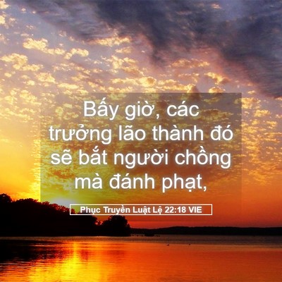 Picture 05 - Phục Truyền Luật Lệ 22:18 VIE - Bấy giờ, các trưởng lão thành đó sẽ - Bible Verse Picture