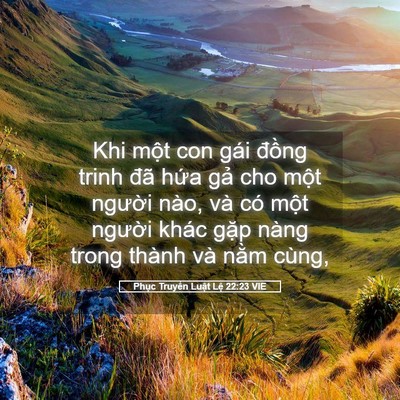 Picture 05 - Phục Truyền Luật Lệ 22:23 VIE - Khi một con gái đồng trinh đã hứa gả - Bible Verse Picture
