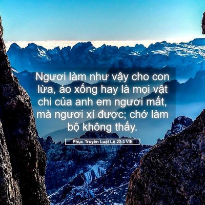 Picture 05 - Phục Truyền Luật Lệ 22:3 VIE - Ngươi làm như vậy cho con lừa, áo xống - Bible Verse Picture