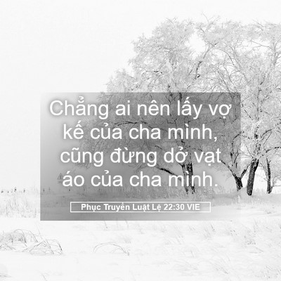 Picture 05 - Phục Truyền Luật Lệ 22:30 VIE - Chẳng ai nên lấy vợ kế của cha mình, - Bible Verse Picture