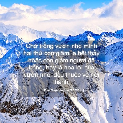 Picture 05 - Phục Truyền Luật Lệ 22:9 VIE - Chớ trồng vườn nho mình hai thứ con - Bible Verse Picture