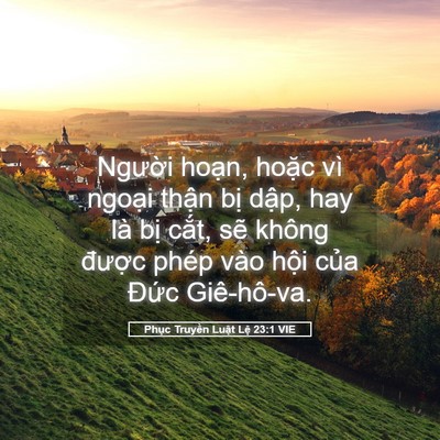 Picture 05 - Phục Truyền Luật Lệ 23:1 VIE - Người hoạn, hoặc vì ngoại thận bị - Bible Verse Picture