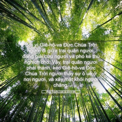 Picture 05 - Phục Truyền Luật Lệ 23:14 VIE - Bởi vì Giê-hô-va Đức Chúa Trời ngươi - Bible Verse Picture