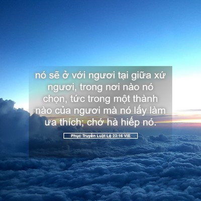 Picture 05 - Phục Truyền Luật Lệ 23:16 VIE - nó sẽ ở với ngươi tại giữa xứ - Bible Verse Picture