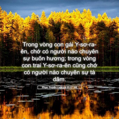 Picture 05 - Phục Truyền Luật Lệ 23:17 VIE - Trong vòng con gái Y-sơ-ra-ên, chớ có - Bible Verse Picture