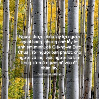 Picture 05 - Phục Truyền Luật Lệ 23:20 VIE - Ngươi được phép lấy lợi người - Bible Verse Picture