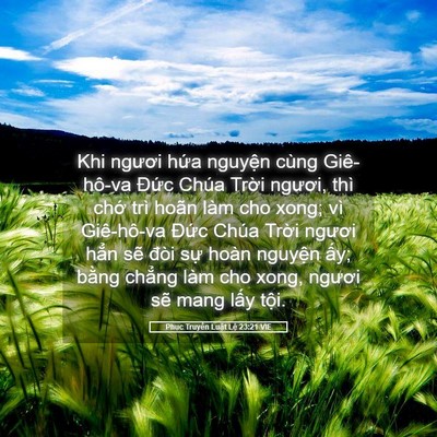 Picture 05 - Phục Truyền Luật Lệ 23:21 VIE - Khi ngươi hứa nguyện cùng Giê-hô-va - Bible Verse Picture