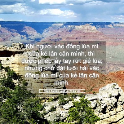Picture 05 - Phục Truyền Luật Lệ 23:25 VIE - Khi ngươi vào đồng lúa mì của kẻ lân - Bible Verse Picture