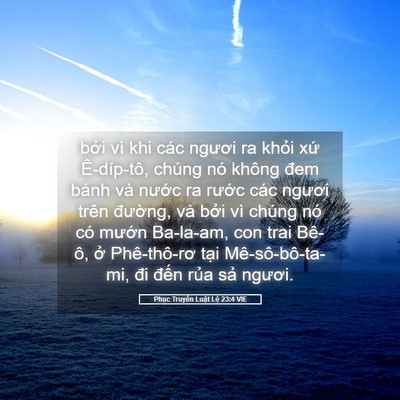 Picture 05 - Phục Truyền Luật Lệ 23:4 VIE - bởi vì khi các ngươi ra khỏi xứ - Bible Verse Picture