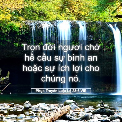 Picture 05 - Phục Truyền Luật Lệ 23:6 VIE - Trọn đời ngươi chớ hề cầu sự bình - Bible Verse Picture