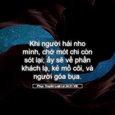 Picture 05 - Phục Truyền Luật Lệ 24:21 VIE - Khi người hái nho mình, chớ mót chi còn - Bible Verse Picture