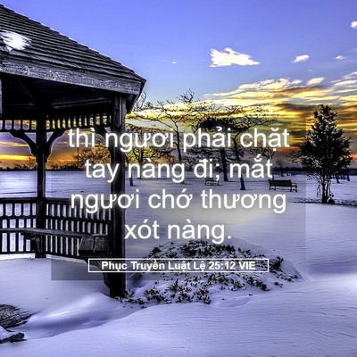 Picture 05 - Phục Truyền Luật Lệ 25:12 VIE - thì ngươi phải chặt tay nàng đi; mắt - Bible Verse Picture