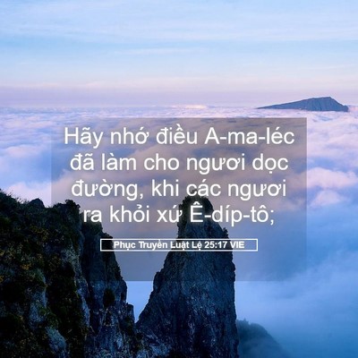 Picture 05 - Phục Truyền Luật Lệ 25:17 VIE - Hãy nhớ điều A-ma-léc đã làm cho - Bible Verse Picture