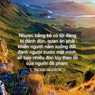 Picture 05 - Phục Truyền Luật Lệ 25:2 VIE - Nhược bằng kẻ có tội đáng bị đánh - Bible Verse Picture