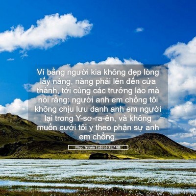 Picture 05 - Phục Truyền Luật Lệ 25:7 VIE - Ví bằng người kia không đẹp lòng lấy - Bible Verse Picture