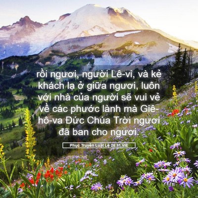 Picture 05 - Phục Truyền Luật Lệ 26:11 VIE - rồi ngươi, người Lê-vi, và kẻ khách - Bible Verse Picture