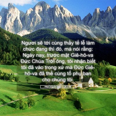 Picture 05 - Phục Truyền Luật Lệ 26:3 VIE - Ngươi sẽ tới cùng thầy tế lễ làm - Bible Verse Picture