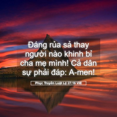 Picture 05 - Phục Truyền Luật Lệ 27:16 VIE - Đáng rủa sả thay người nào khinh bỉ - Bible Verse Picture