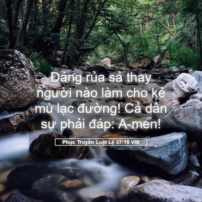 Picture 05 - Phục Truyền Luật Lệ 27:18 VIE - Đáng rủa sả thay người nào làm cho - Bible Verse Picture