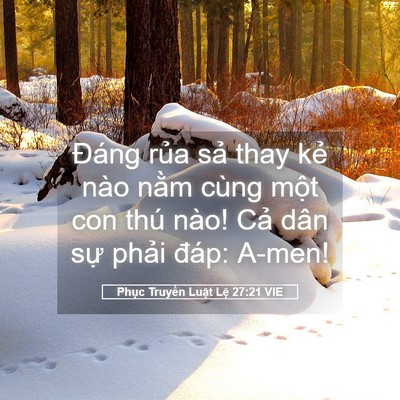Picture 05 - Phục Truyền Luật Lệ 27:21 VIE - Đáng rủa sả thay kẻ nào nằm cùng - Bible Verse Picture