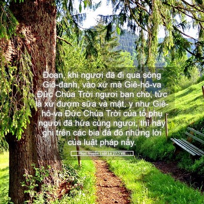 Picture 05 - Phục Truyền Luật Lệ 27:3 VIE - Đoạn, khi ngươi đã đi qua sông - Bible Verse Picture