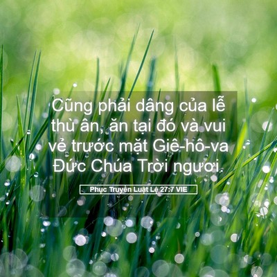 Picture 05 - Phục Truyền Luật Lệ 27:7 VIE - Cũng phải dâng của lễ thù ân, ăn tại - Bible Verse Picture