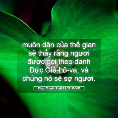 Picture 05 - Phục Truyền Luật Lệ 28:10 VIE - muôn dân của thế gian sẽ thấy rằng - Bible Verse Picture