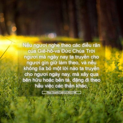Picture 05 - Phục Truyền Luật Lệ 28:13 VIE - Nếu ngươi nghe theo các điều răn của - Bible Verse Picture