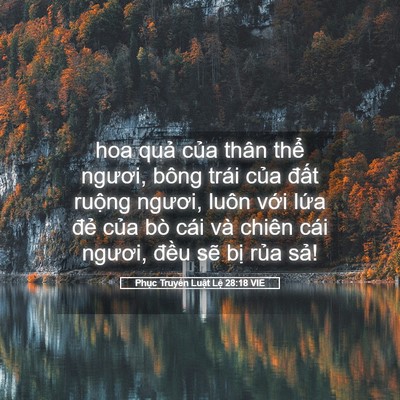 Picture 05 - Phục Truyền Luật Lệ 28:18 VIE - hoa quả của thân thể ngươi, bông trái - Bible Verse Picture