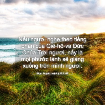 Picture 05 - Phục Truyền Luật Lệ 28:2 VIE - Nếu ngươi nghe theo tiếng phán của - Bible Verse Picture