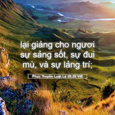 Picture 05 - Phục Truyền Luật Lệ 28:28 VIE - lại giáng cho ngươi sự sảng sốt, sự - Bible Verse Picture